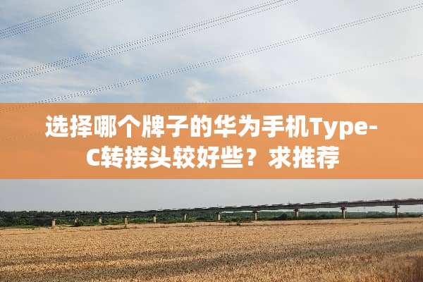 选择哪个牌子的华为手机Type-C转接头较好些？求推荐