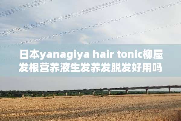 日本yanagiya hair tonic柳屋发根营养液生发养发脱发好用吗？