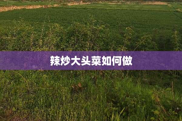 辣炒大头菜如何做