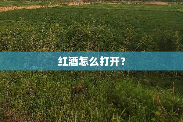 红酒怎么打开？