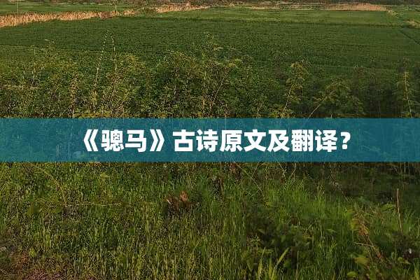 《骢马》古诗原文及翻译？
