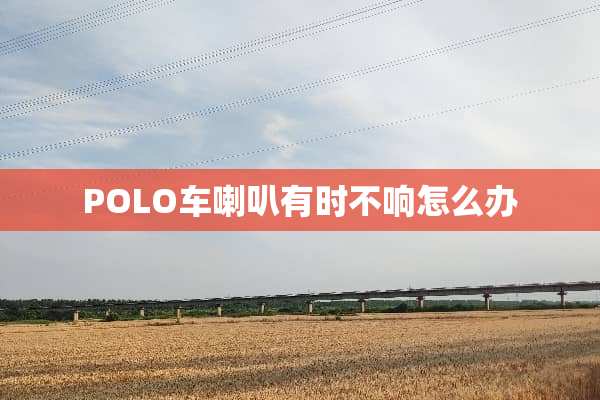 POLO车喇叭有时不响怎么办