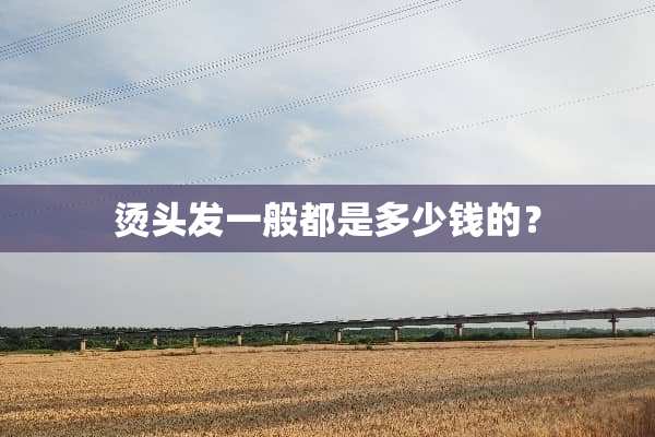 烫头发一般都是多少钱的？