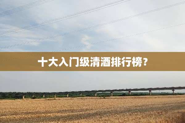 十大入门级清酒排行榜？