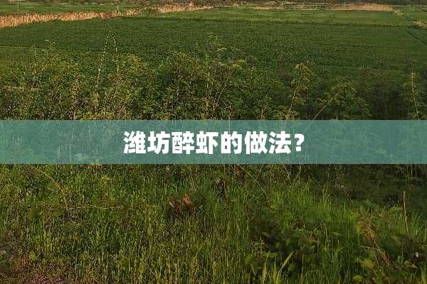 潍坊醉虾的做法？
