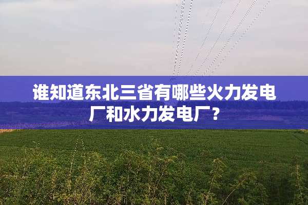 谁知道东北三省有哪些火力发电厂和水力发电厂？
