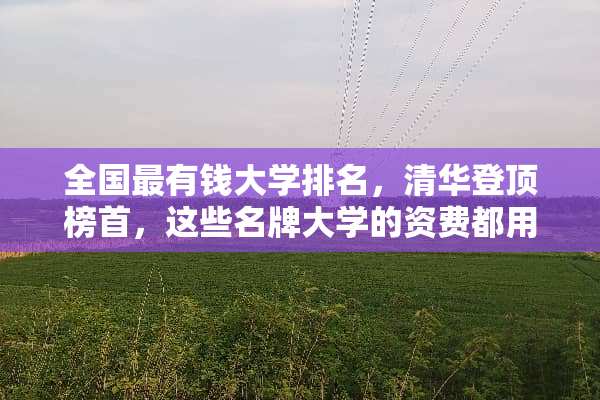 全国最有钱大学排名，清华登顶榜首，这些名牌大学的资费都用在哪里了？