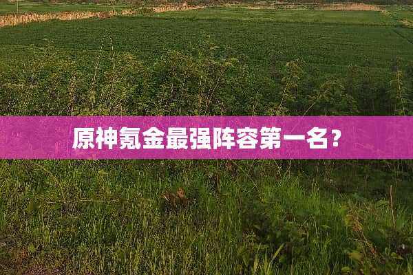 原神氪金最强阵容第一名？