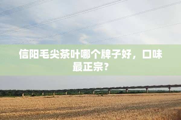 信阳毛尖茶叶哪个牌子好，口味最正宗？