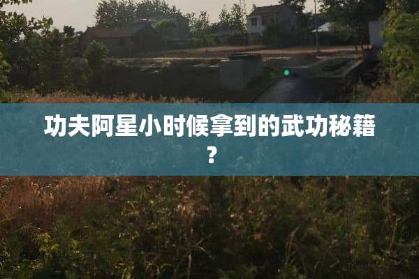 功夫阿星小时候拿到的武功秘籍？