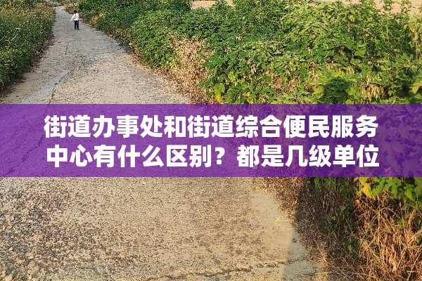 街道办事处和街道综合便民服务中心有什么区别？都是几级单位？