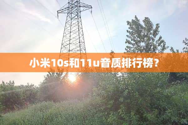 小米10s和11u音质排行榜？