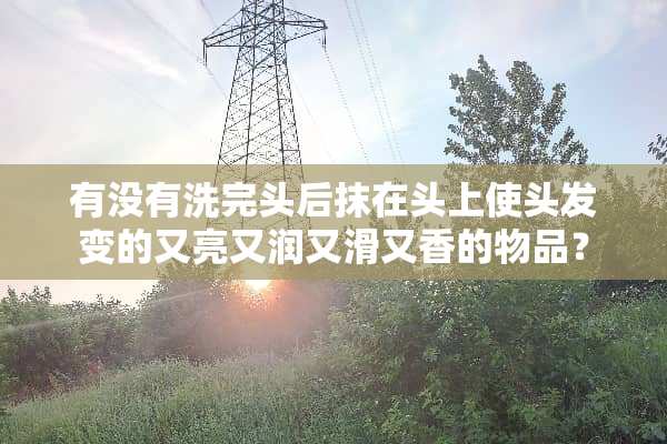 有没有洗完头后抹在头上使头发变的又亮又润又滑又香的物品？