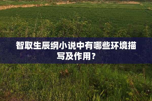 智取生辰纲小说中有哪些环境描写及作用？