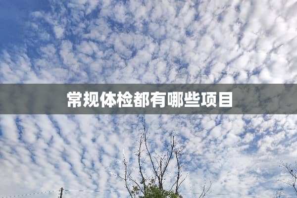 常规体检都有哪些项目