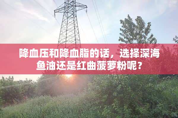 降血压和降血脂的话，选择深海鱼油还是红曲菠萝粉呢？