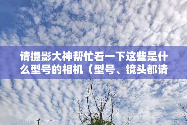请摄影大神帮忙看一下这些是什么型号的相机（型号、镜头都请说明一下），谢谢！