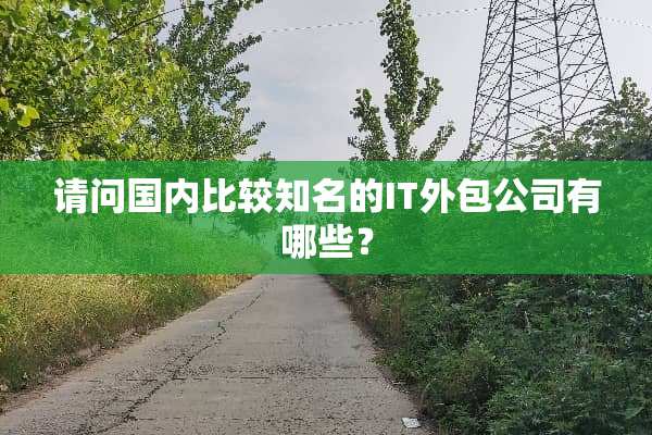 请问国内比较知名的IT外包公司有哪些？