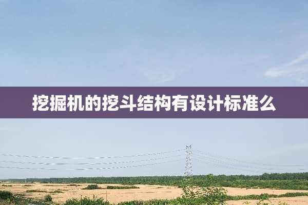 挖掘机的挖斗结构有设计标准么