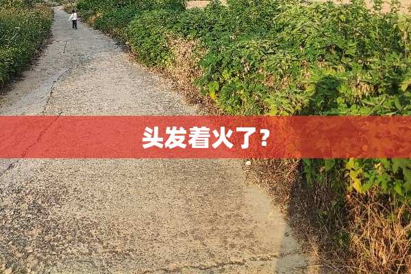 头发着火了？