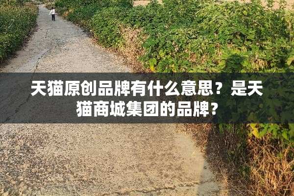 天猫原创品牌有什么意思？是天猫商城集团的品牌？