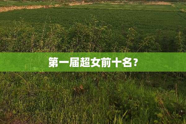 第一届超女前十名？