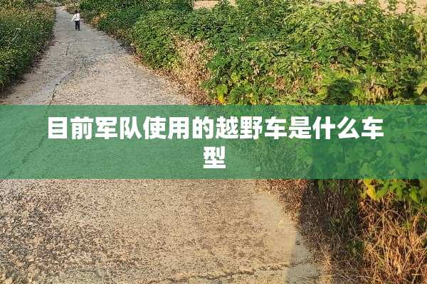 目前**使用的越野车是什么车型