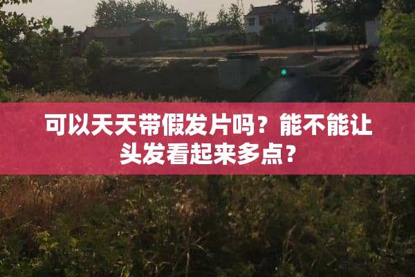 可以天天带假发片吗？能不能让头发看起来多点？