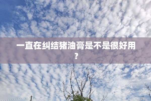 一直在纠结猪油膏是不是很好用？