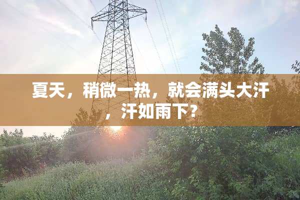夏天，稍微一热，就会满头大汗，汗如雨下？