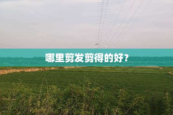 哪里剪发剪得的好？