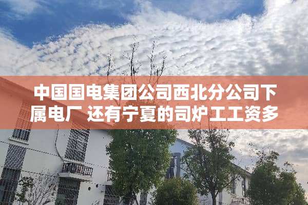 中国国电集团公司西北分公司下属电厂 还有宁夏的司炉工工资多少