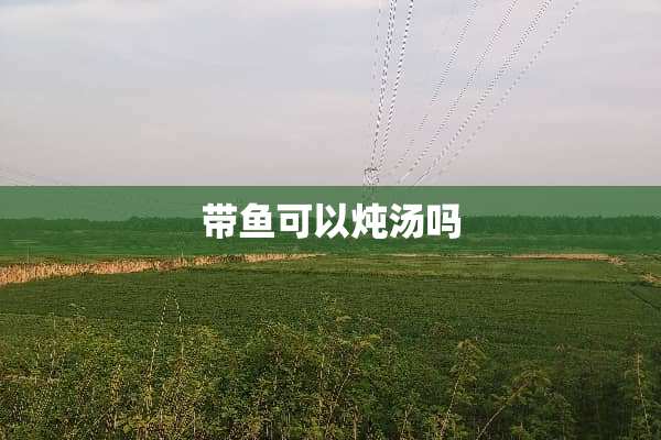 带鱼可以炖汤吗