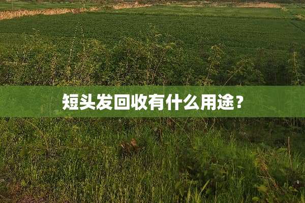 短头发回收有什么用途？