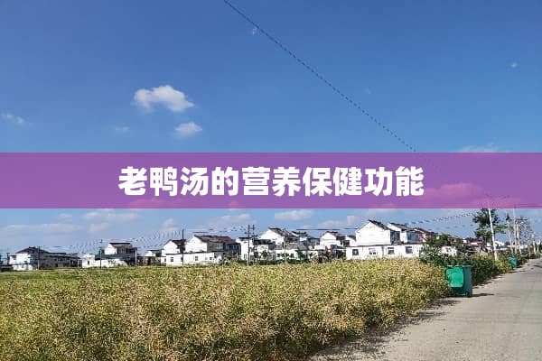 老鸭汤的营养保健功能