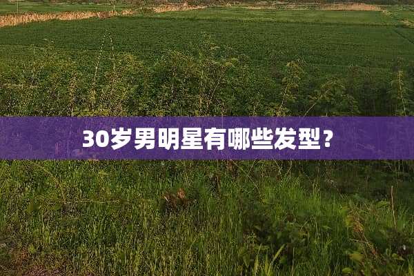 30岁男明星有哪些发型？