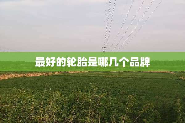 最好的轮胎是哪几个品牌