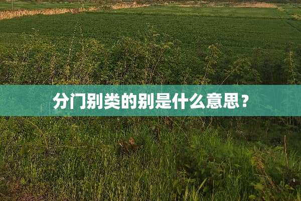 分门别类的别是什么意思？