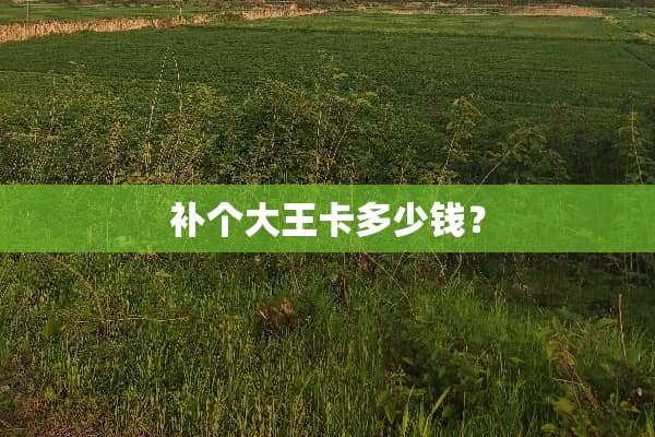 补个大王卡多少钱？