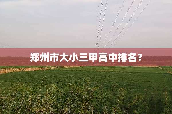郑州市大小三甲高中排名？