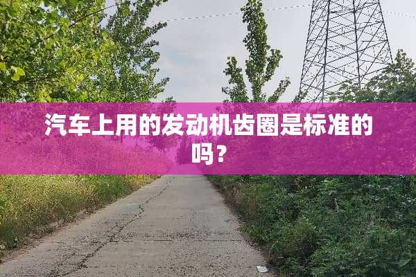 汽车上用的发动机齿圈是标准的吗？