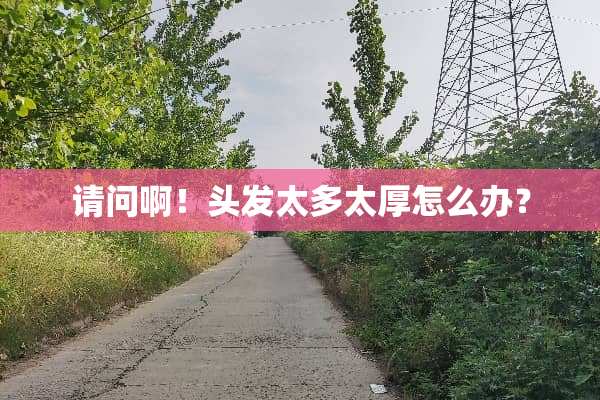 请问啊！头发太多太厚怎么办？