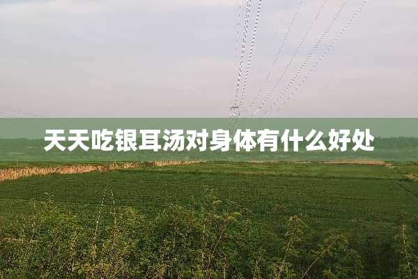 天天吃银耳汤对身体有什么好处
