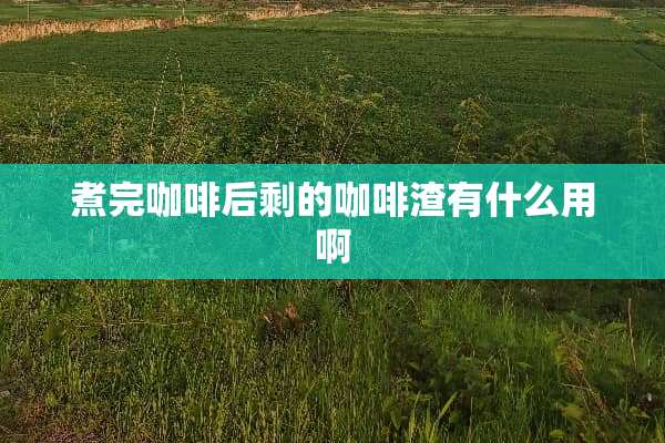 煮完咖啡后剩的咖啡渣有什么用啊