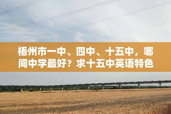 梧州市一中、四中、十五中，哪间中学最好？求十五中英语特色班的详细资料。
