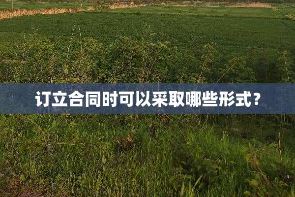 订立合同时可以采取哪些形式？