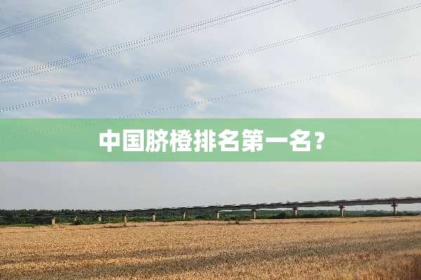 中国脐橙排名第一名？