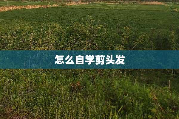 怎么自学剪头发