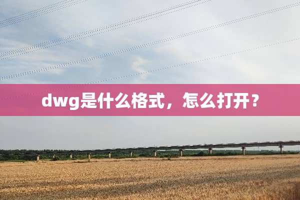 dwg是什么格式，怎么打开？