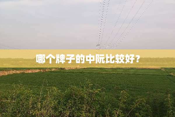 哪个牌子的中阮比较好？
